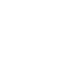 A white flower with black background